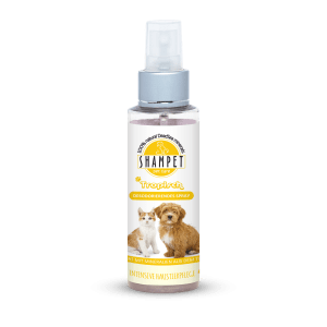 Desodorierendes Spray Tropisch 100ml