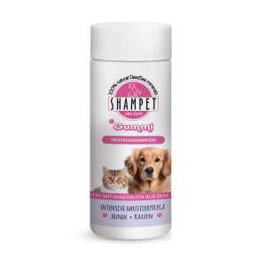 Trockenes Shampoo Kaugummi 100gm